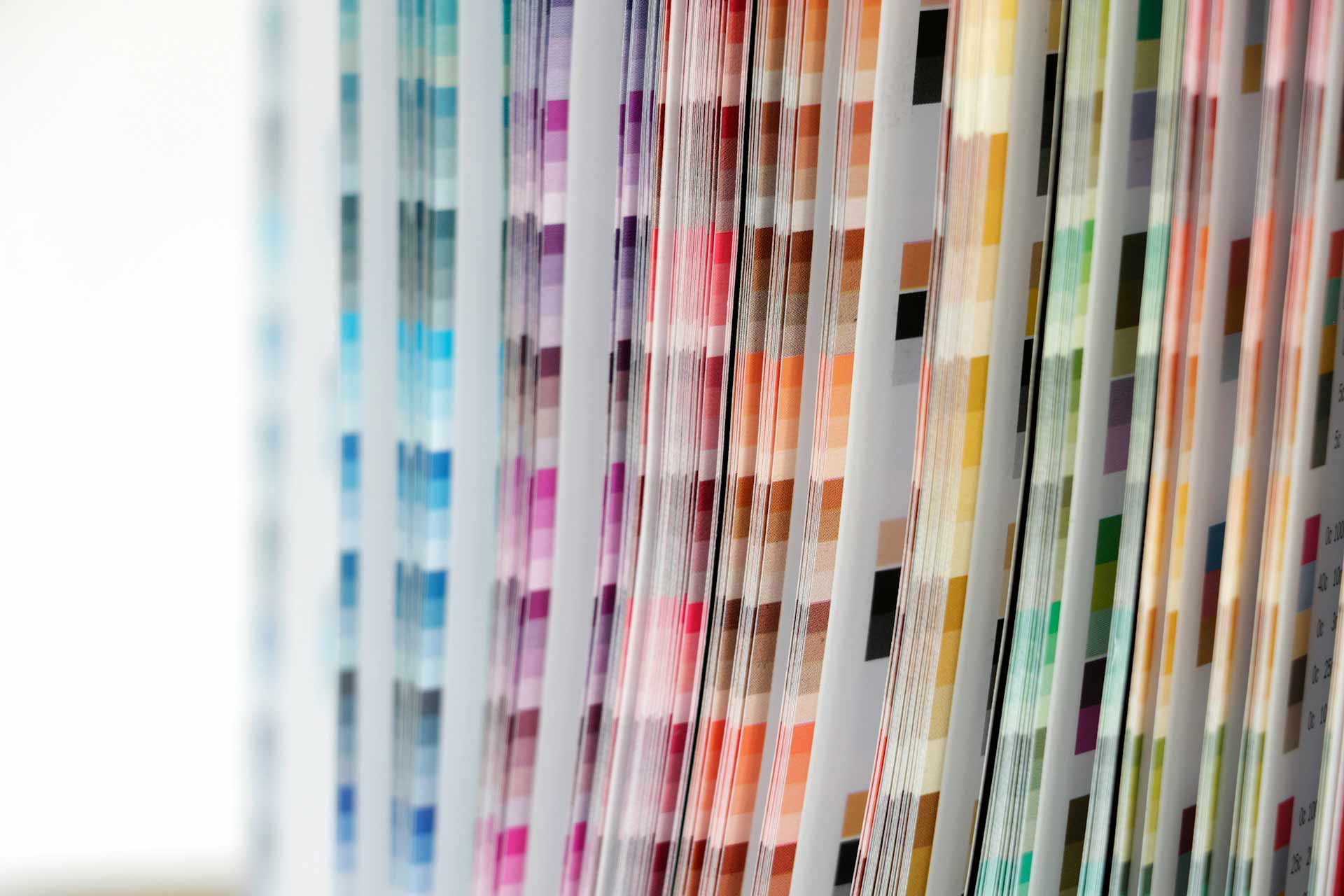 Design services in Auckland